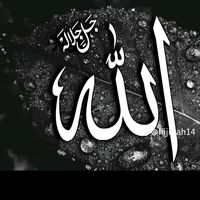 TikTok Account - https://p16-amd-va.tiktokcdn.com/tos-maliva-avt-0068/3ac62240d0c63482630c7522f156e762~tplv-tiktokx-cropcenter:200:200.jpeg