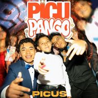 julio_fan_picus2