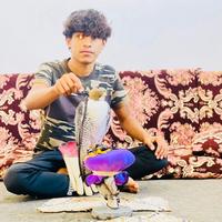 الصوت الأصلي