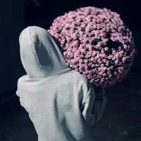 ermetov.17
