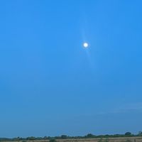shristietiara_07