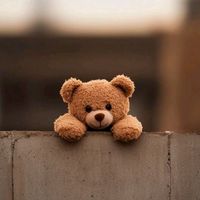 TikTok Account - https://p16-amd-va.tiktokcdn.com/tos-maliva-avt-0068/3c5f9ef30946e4f822327e31af6c407f~tplv-tiktokx-cropcenter:200:200.jpeg