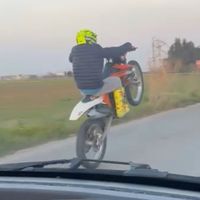 claudiomorleo19