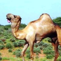 TikTok Account - https://p16-amd-va.tiktokcdn.com/tos-maliva-avt-0068/3d5f7033f7d0e7f8e24706ea4984e779~tplv-tiktokx-cropcenter:200:200.jpeg