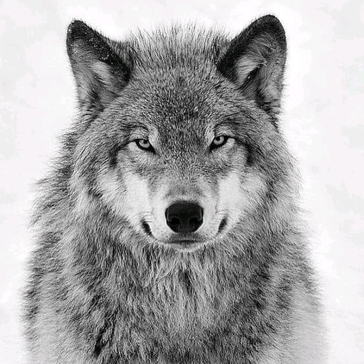 Hotskins30 org. Hotskins30 org. Hotskins30 org. Hotskins30 org. Hotskins30 org.