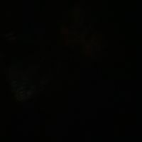 TikTok Account - https://p16-amd-va.tiktokcdn.com/tos-maliva-avt-0068/40587b5806a7d3e99874a8404bc9419f~tplv-tiktokx-cropcenter:200:200.jpeg