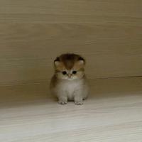 мятые простыни