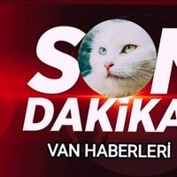 tarafsizvanhaber
