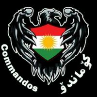 original sound - comando_5113