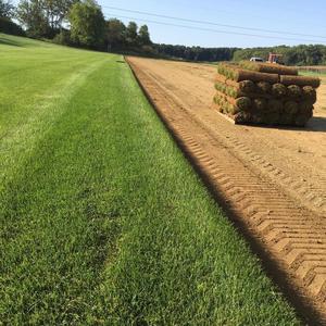 直人さんのフィンガーダンス 帽子を深くかぶる仕草 腕まくる仕草 ちらっと見える目 煽る仕草 舌ペロ 左耳のピアス 何もかもがかっこいい 大好きなんです Ram Naoto Tiktok Video