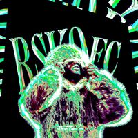 TikTok Account - https://p16-amd-va.tiktokcdn.com/tos-maliva-avt-0068/42f72920e9655dd4c4b2ddfc19662d97~tplv-tiktokx-cropcenter:200:200.jpeg