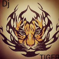 dj_tiger_official