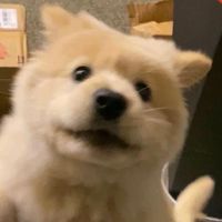 TikTok Account - https://p16-amd-va.tiktokcdn.com/tos-maliva-avt-0068/45a6b0e1501b6b7694b920e57682f556~tplv-tiktokx-cropcenter:200:200.jpeg