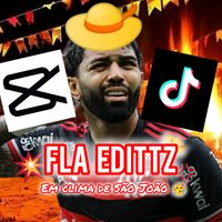 fla_edittz