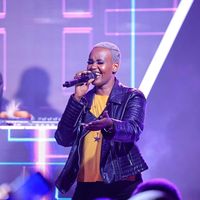 TikTok Account - https://p16-amd-va.tiktokcdn.com/tos-maliva-avt-0068/46bc4f3cc50c229b737eabf2c55c4478~tplv-tiktokx-cropcenter:200:200.jpeg