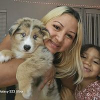 genesisdelosangelesmerc3