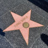 TikTok Account - https://p16-amd-va.tiktokcdn.com/tos-maliva-avt-0068/47b382b062b7323284ca3895f28c0a07~tplv-tiktokx-cropcenter:200:200.jpeg