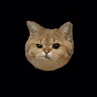 TikTok Account Photo