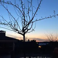 nicole.mlap