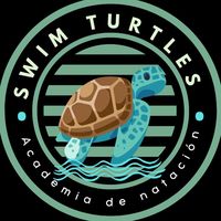 swimturtlespanama