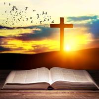 original sound - paroles.de.vie00