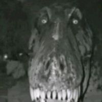 xfurygangs