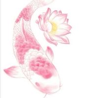 symphonislotus