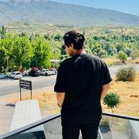 الصوت الأصلي