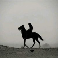 TikTok Account - https://p16-amd-va.tiktokcdn.com/tos-maliva-avt-0068/4fdfca4df1bad5fa813b2e4d68bce32b~tplv-tiktokx-cropcenter:200:200.jpeg