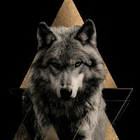 TikTok Account - https://p16-amd-va.tiktokcdn.com/tos-maliva-avt-0068/4ff2a268d0c05ce22d46168d9c06eea0~tplv-tiktokx-cropcenter:200:200.jpeg