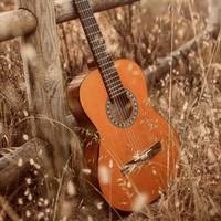 TikTok Account - https://p16-amd-va.tiktokcdn.com/tos-maliva-avt-0068/51e9f24ced8fe6a6d4d1c5d1e6de16e8~tplv-tiktokx-cropcenter-q:200:200:q70.jpg