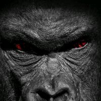 TikTok Account - https://p16-amd-va.tiktokcdn.com/tos-maliva-avt-0068/52264b10e9e5461080f96281d4dd24c7~tplv-tiktokx-cropcenter:200:200.jpeg