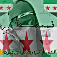 hasma594