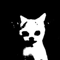 TikTok Account - https://p16-amd-va.tiktokcdn.com/tos-maliva-avt-0068/52aa368dd4cb1c1b01eb14665a4cd181~tplv-tiktokx-cropcenter:200:200.jpeg