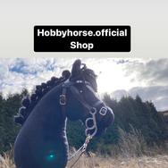 hobby.horse2023