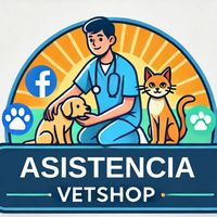 asistencia.vetsho