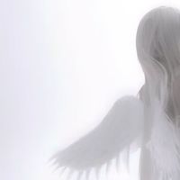 lvrlxri