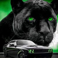 TikTok Account - https://p16-amd-va.tiktokcdn.com/tos-maliva-avt-0068/54e8f90109fb6f3991e38945b514355f~tplv-tiktokx-cropcenter:200:200.jpeg