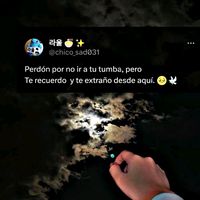 jinsonorta