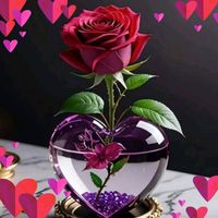 user94199817177666