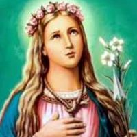 TikTok Account - https://p16-amd-va.tiktokcdn.com/tos-maliva-avt-0068/5582e66c835773c15db3c9214e045366~tplv-tiktokx-cropcenter:200:200.jpeg