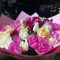 TikTok Account - https://p16-amd-va.tiktokcdn.com/tos-maliva-avt-0068/5601e360fe286b6a2e87ee4b4a0b26be~tplv-tiktokx-cropcenter:200:200.jpeg