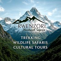 TikTok Account - https://p16-amd-va.tiktokcdn.com/tos-maliva-avt-0068/56ed1ce8a0df90ba0ccf23bf54ff0123~tplv-tiktokx-cropcenter:200:200.jpeg