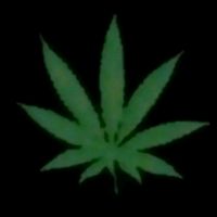 TikTok Account - https://p16-amd-va.tiktokcdn.com/tos-maliva-avt-0068/56fbdf8c47a55962ea116cf5b87b50be~tplv-tiktokx-cropcenter:200:200.jpeg