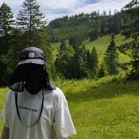 оригинальный звук