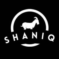 TikTok Account - shaniqwemaarts