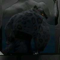 tailumgsb