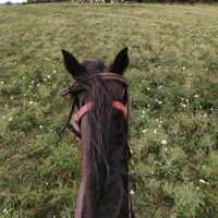 TikTok Account - https://p16-amd-va.tiktokcdn.com/tos-maliva-avt-0068/58aa403b570d55212deeaf0e885e8025~tplv-tiktokx-cropcenter:200:200.jpeg