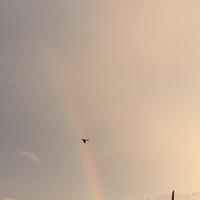 original sound - n_a_d_2_3