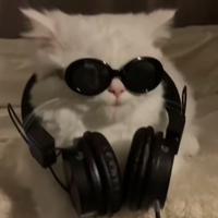 Sound image